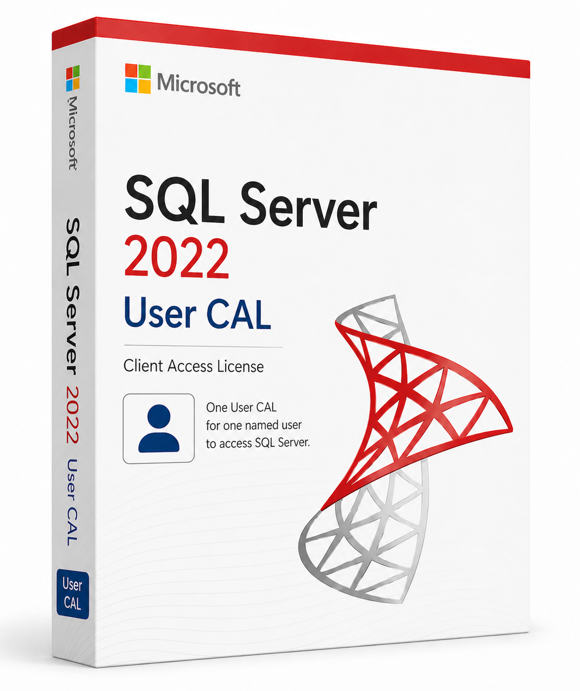 Microsoft SQL Server 2022 - 1 User Client Access License