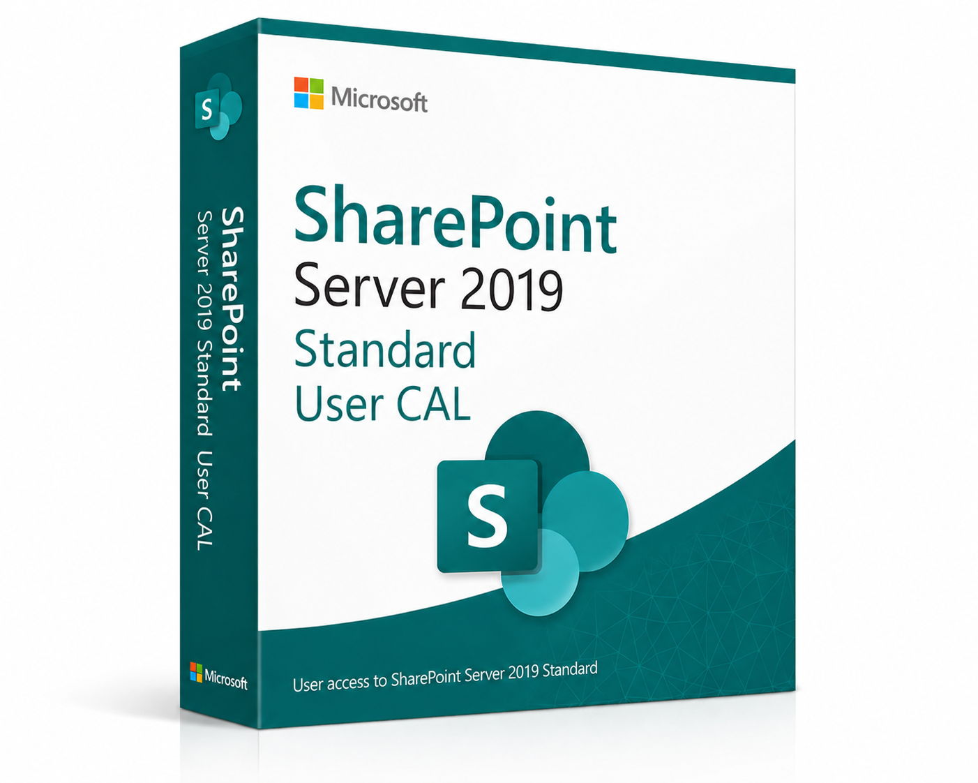 Microsoft SharePoint Server 2019 Standard - 1 User CAL